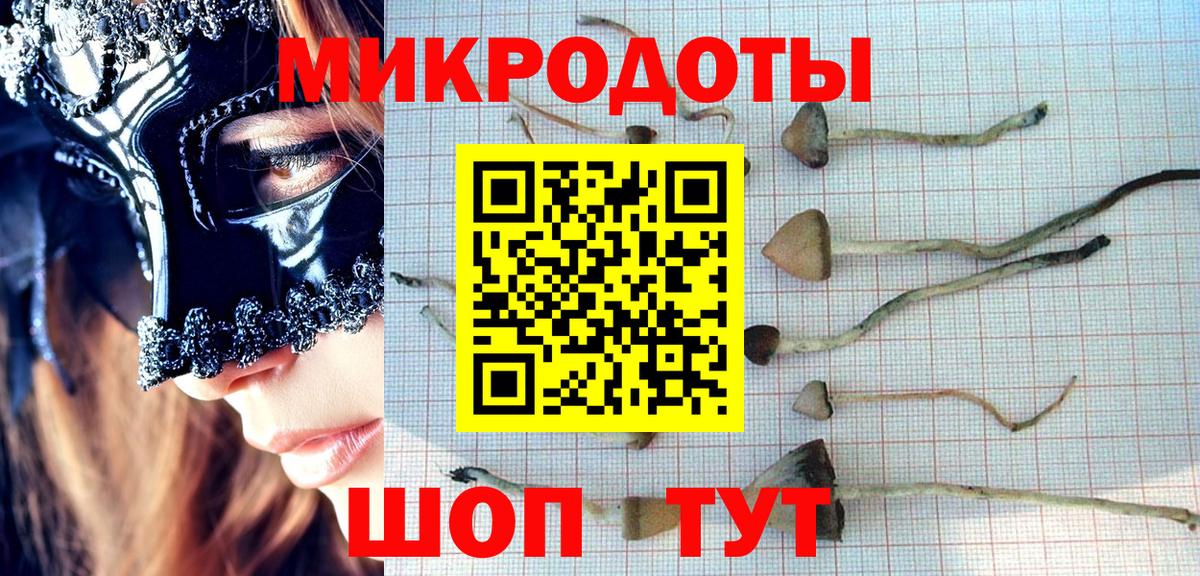 закладки  Псилоцибиновые грибы Psilocybine cubensis  Видное  Вход с VPN  Псилоцибиновые грибы Psilocybe 
